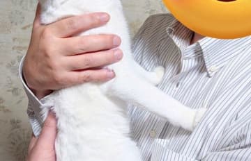 「オジサン」の抱っこを全力で拒否するにゃんこが話題に!!ジト目で前足を突っ張る姿に「正直ですなwww」と13万いいね
