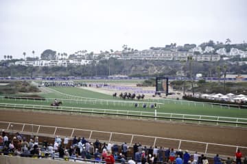 【BCターフスプリント】インビンシブルパパ6番手入線か…米シソスパイシーが逃げ切る