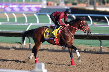 【BCクラシック枠順】いざ世界制覇へ！フォーエバーヤングは5番ゲートから…日本の馬券発売あり