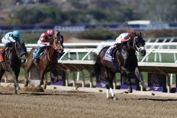 【BCスプリント】アメリカンステージは4番手入線…米ベントルナートがV