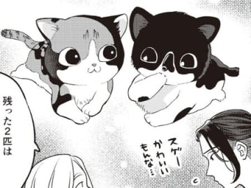 子猫の里親募集を見て、ソッコーでお迎えに。だけど"推し"の子はいなくて…？【借金1000万作曲家の人生を変えてくれた猫の話#2】