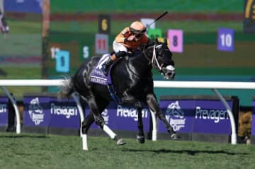 【BCターフスプリント】インビンシブルパパ6着…米シソスパイシーが逃げ切る