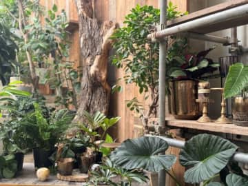 【梅田】進化系園芸店「garage」と静岡県の織物ブランド「HUIS」がＫＩＴＴＥ大阪に関西初出店