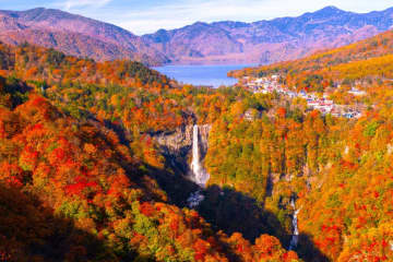 全国地域別【紅葉予想2025】人気名所の見頃をチェック！本州〜九州では平年並から遅く、日光･高尾山･箱根･嵐山はいつが見頃？