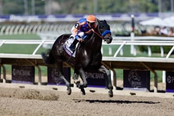 【BCフィリー＆メアスプリント】地元スプレンドラが鮮やか抜け出しV