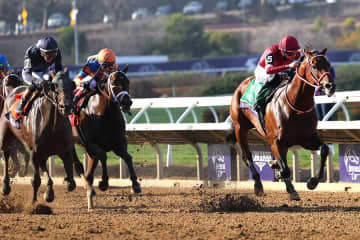 世界最強馬になったフォーエバーヤング　レース前、矢作調教師が坂井瑠星に送っていた一言とは