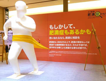 肥満症は医師に相談を　11/29 オンライン無料講座開催　専門医と舞の海がアドバイス　肥満と肥満症の違いを知り医学的な治療で健やかに　日本イーライリリー 田辺三菱製薬