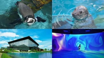 北海道の水族館おすすめ11選！デートや家族旅行にもぴったりなスポットを紹介
