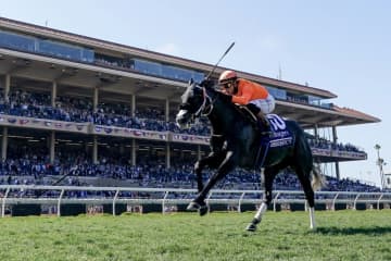 【BCターフスプリント】オルティスJr.「とても楽でした」…米シソスパイシーが“圧逃”V！日本勢は完敗