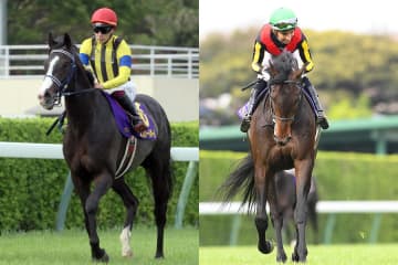 【天皇賞・秋 見どころ】秋の府中の新名物・世代交代の争いを制するのは