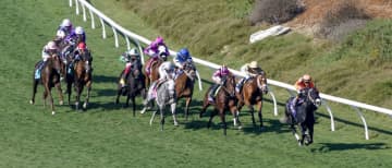 【BCターフスプリント】伊藤大師「世界は広かった」…インビンシブルパパ果敢に先行も6着