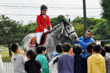 競走馬が横浜の小学校にやってきた！　JRAが出張授業、児童と交流