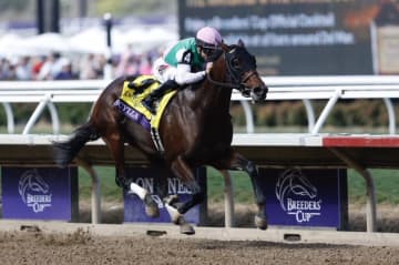 【BCディスタフ】アリスヴェリテは10着…米スキュラが圧勝