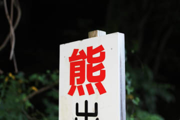 クマが山形県南陽市の職員を襲撃。早朝警戒中にやぶから飛び出してきて…