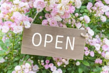 3億円古民家カフェがニューオープン!?パティシエ手作りケーキ・珈琲・モーニングを【11/1OPEN】Cafe shinka 心花