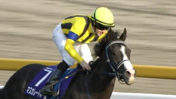 【天皇賞（秋）・GⅠ】3歳馬がワンツーフィニッシュで古馬撃破！秋GⅠ無双！C.ルメール騎手がマスカレードボール導く