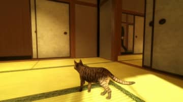 「猫」視点で進める探索ホラーADV『まだ猫は逃げますか？』プレイレポ―田舎の民家で「記憶」を集め、怪奇現象の謎に迫る。シナリオ手掛ける作家・背筋氏らしさ爆発の“考察系ジワ怖”ホラー