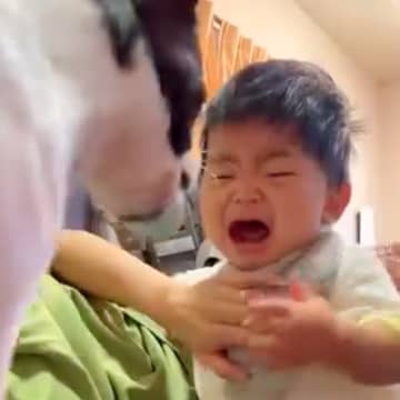 赤ちゃんが泣いていると、犬が小走りで『自分のおもちゃ』を持ってきて…泣けるほど尊い『あやしている光景』に感動「優しすぎる」「癒された」