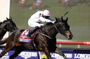 【BCターフ】平地障害の二刀流エシカルダイアモンドが大金星…レベルスロマンスは2着