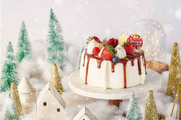 MERCER bisのクリスマス限定シフォンケーキ！2種類の贅沢な味わい
