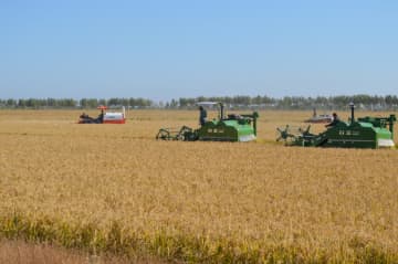 中国最大の穀倉地帯で秋の収穫ほぼ完了　黒竜江省