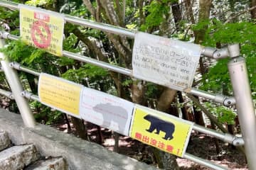 日本旅行では「熊の出没」にご用心、中華圏で相次ぐ注意喚起