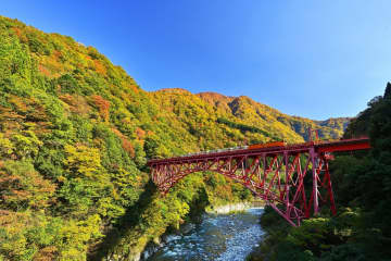 黒部峡谷鉄道、トロッコ電車沿線の紅葉の見ごろは11月中旬まで