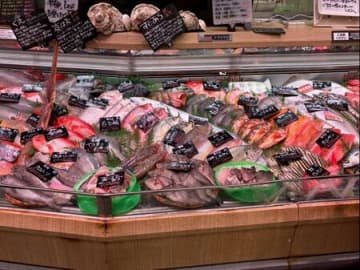 つくばで天然魚クエスト！