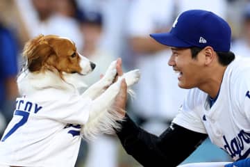 「デコピンも嬉しそう」WS２連覇の大谷翔平、愛犬の“秋らしい”最新ショット公開「どさくさに紛れておる」「100億回イイね押したい」ファンメロメロ