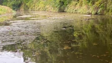 城ノ上さんが笹川湖へ！ 苦戦の末、ヒットしたルアーはやはり？ 「キングジミーヘンジが大好きみたいです」