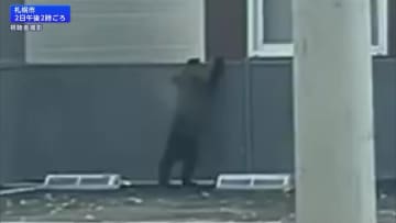 子グマが札幌の住宅街を5時間徘徊…ハンターが駆除　砂川市では住宅近くのやぶに体長1.2mのクマが居座り　北海道