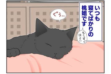 【マンガ・老猫日誌＃46】トイレの前にウロウロする理由は？〜19歳の元保護猫・桃姐