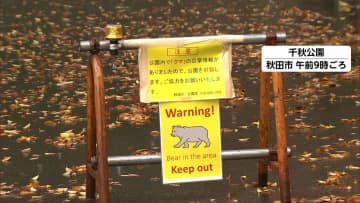 自宅敷地内でクマ2頭と遭遇…65歳男性ケガ　散歩中にクマに襲われた83歳男性もケガ　中心部の千秋公園では2頭捕獲　秋田