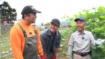 1玉5000円！？にもなるかぼちゃ“くりりん”の栽培に工藤阿須加が挑戦！甘さ2倍というそのお味は…