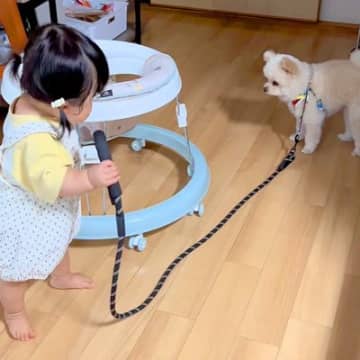 小さい女の子が、家の中で『犬のお散歩』をした結果→おぼつかない足取りで…涙が出るほど『尊い光景』に絶賛「癒やされた」「考えてて偉い」