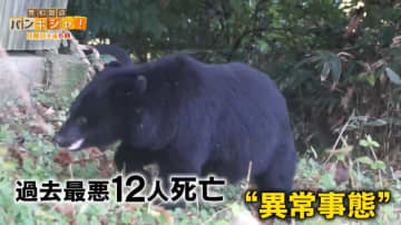 急増クマ被害“異常事態”　市民のため…過酷“クマハンター”知られざる活動に密着【バンキシャ！】