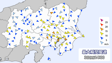 東京地方で「木枯らし1号」　3年連続で発表