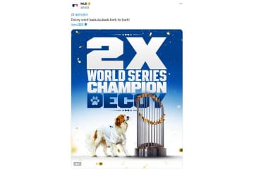 大谷デコピンにMLBが異例の祝福　トロフィーとの“2ショット”「2度目のワールドシリーズ制覇デコイ」