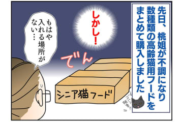 【マンガ・老猫日誌＃45】いつか、という日を考える〜19歳の元保護猫・桃姐