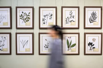 中国・武漢で長江文化典籍閲読シーズン