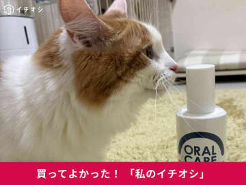 【ペトラボ】愛猫用「口腔ケアウォーター」は飲み水に混ぜるだけの液体歯磨き！マンチカン・ロイちゃんも口臭ケア(20代女性)