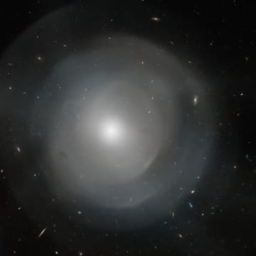 一輪の花のような楕円銀河「NGC 474」　ハッブル宇宙望遠鏡が観測