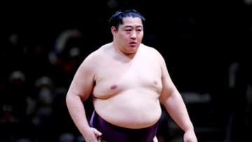 元小結・遠藤が現役引退　大相撲人気をけん引　スピード出世にまげが結えない“ざんばら”入幕の先駆者