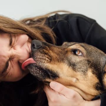 犬が飼い主の顔を『舐めてくる』心理５選　思わぬリスクや止めさせたいときの正しい対応まで解説