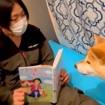 絵本を持っていたら『なにしてるの？』と近づいてきた犬→読み聞かせてあげた結果…まるで親子のような光景が22万再生「愛にあふれた空間…」