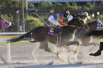 【JBCレディスクラシック】松山「きょうもゲートが響いた」テンカジョウは追い込むも2着まで