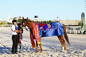 【JBCレディスクラシック】松永幹師「思いきり行こうと話をしていた」7番人気アンモシエラ鮮やか連覇