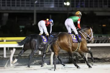 【JBCクラシック】藤岡佑「左回りはあまりよくなさそうです」キングズソードはしぶとく4着