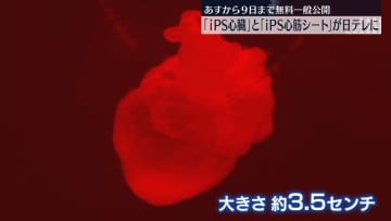 あすから一般公開　大阪･関西万博で人気…｢iPS心臓｣と「iPS心筋シート」が日テレに