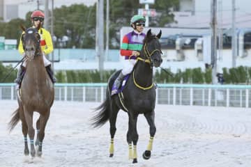 【JBCスプリント】戸崎「ポジションはやはり後ろに…」クロジシジョーは差し脚伸ばすも5着まで